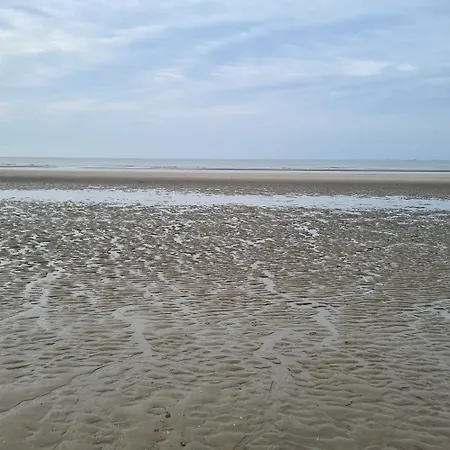 Seastar شقة *