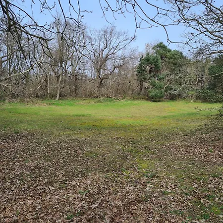 Daire Seastar Mispelburg